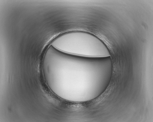 X0000116310112200911301044