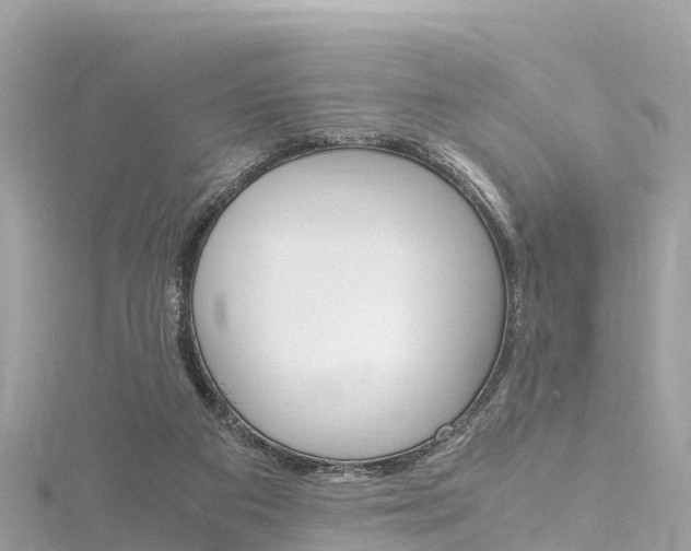 X0000116310113200911301044