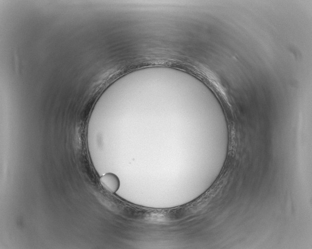 X0000116310114200911301044