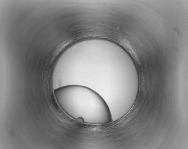 X0000116310116200911301044