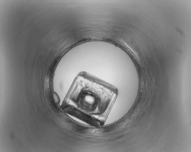 X0000116310117200911301044