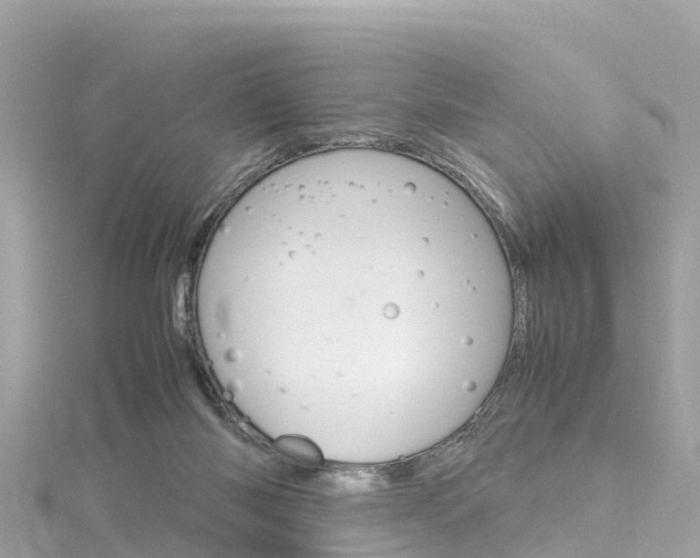 X0000116310118200911301044