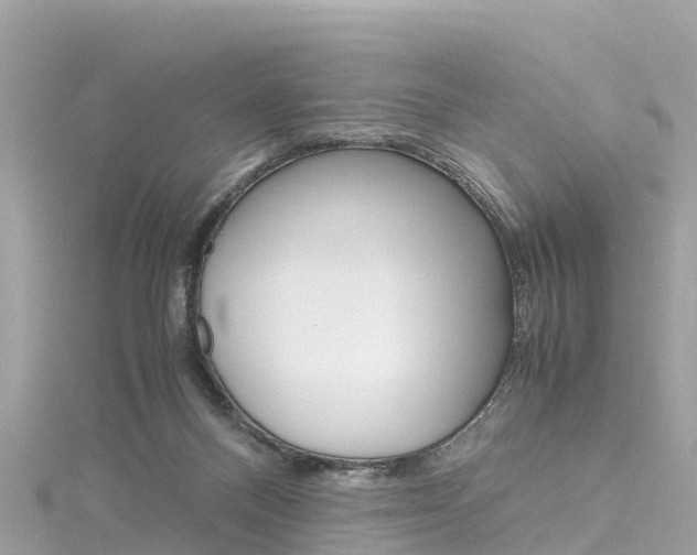 X0000116310120200911301044