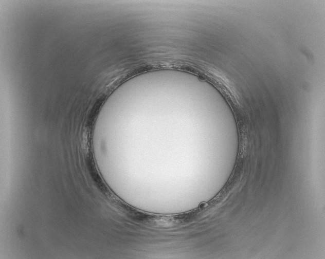 X0000116310121200911301044