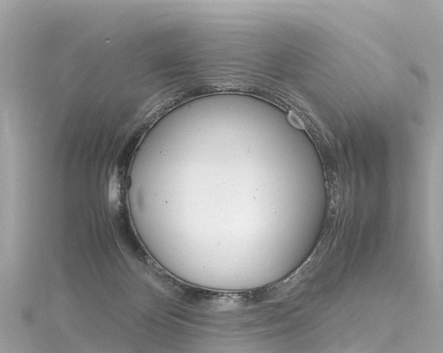 X0000116310124200911301044