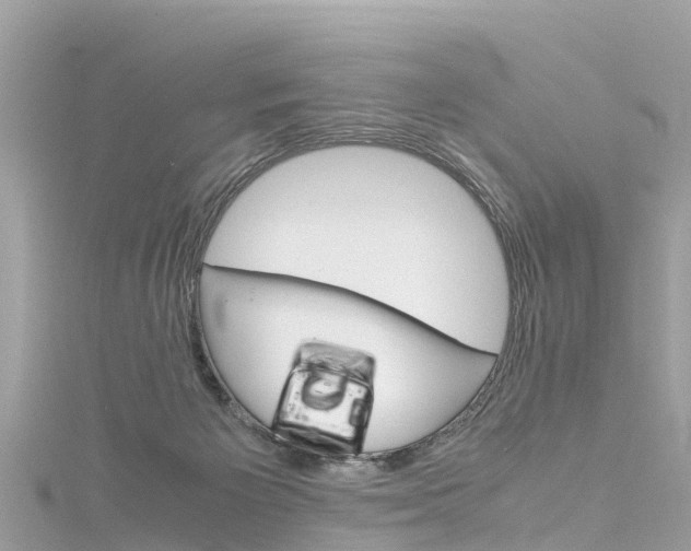 X0000116310125200911301044