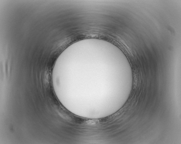 X0000116310126200911301044