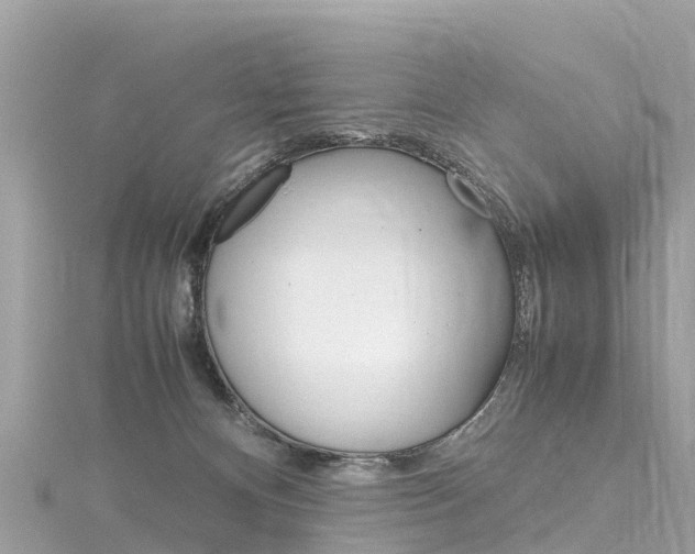 X0000116310128200911301044