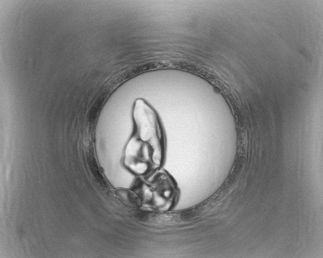 X0000116310129200911301044