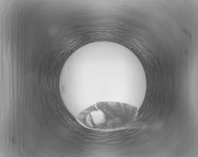 X0000116310135200911301044