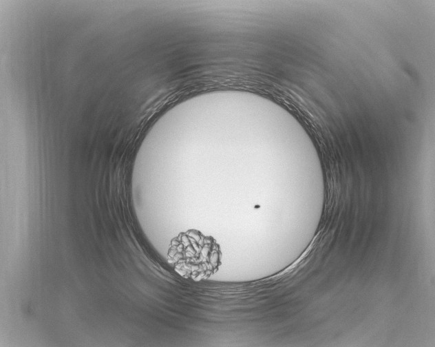 X0000116310136200911301044