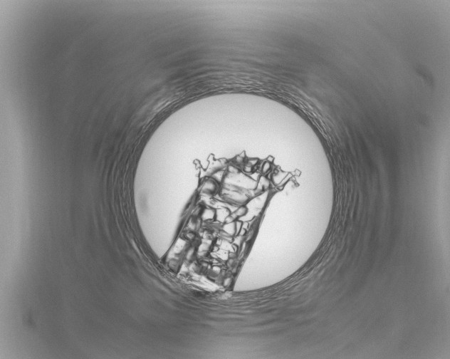 X0000116310137200911301044