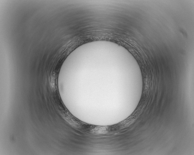 X0000116310138200911301044