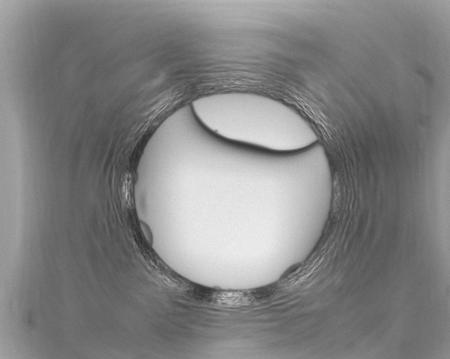 X0000116310141200911301043