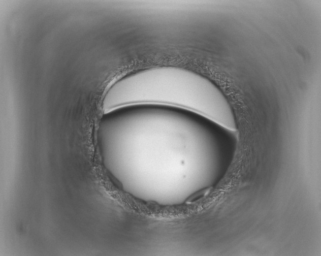 X0000116310144200911301043