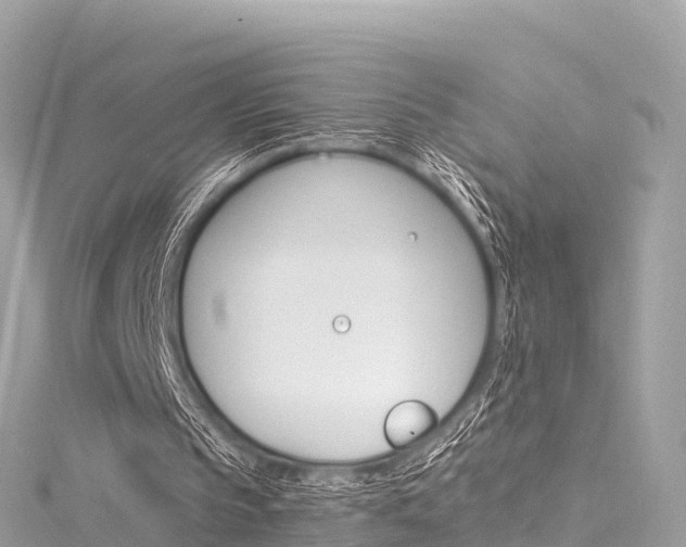 X0000116310145200911301043