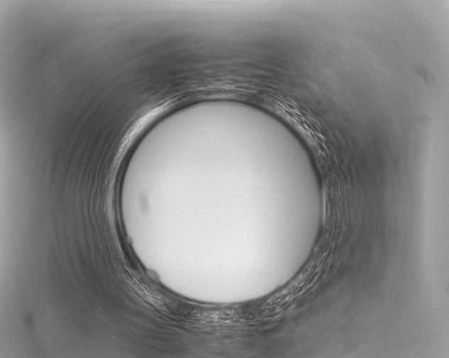 X0000116310147200911301043