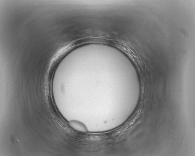 X0000116310149200911301043