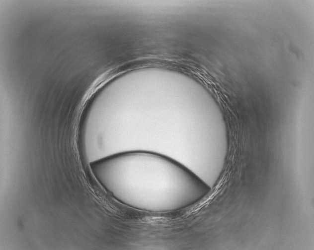 X0000116310150200911301043