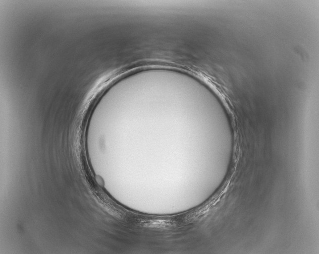 X0000116310151200911301043