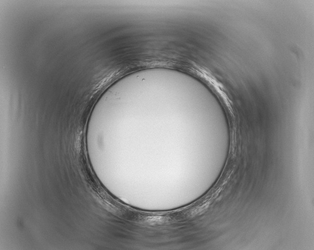 X0000116310153200911301043