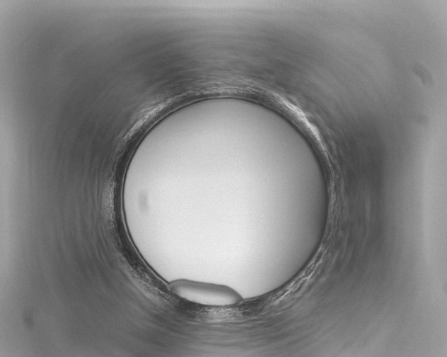 X0000116310154200911301043