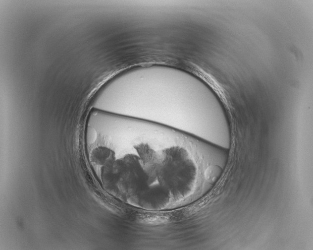 X0000116310155200911301043