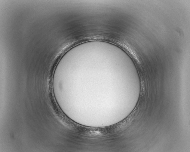 X0000116310159200911301043