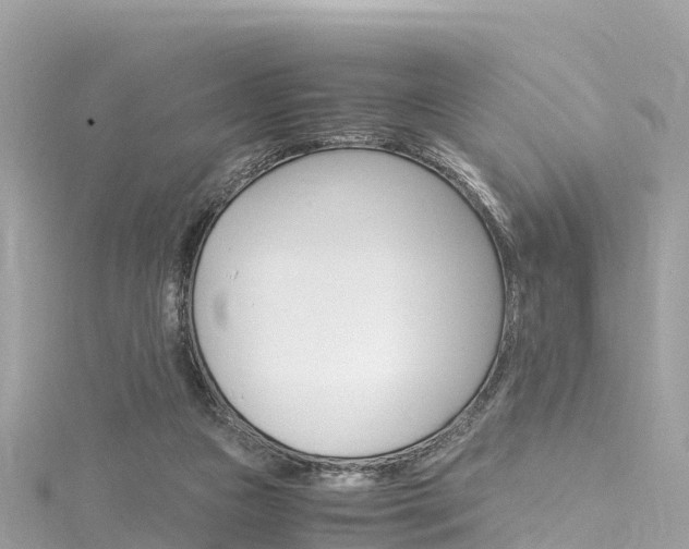 X0000116310161200911301043