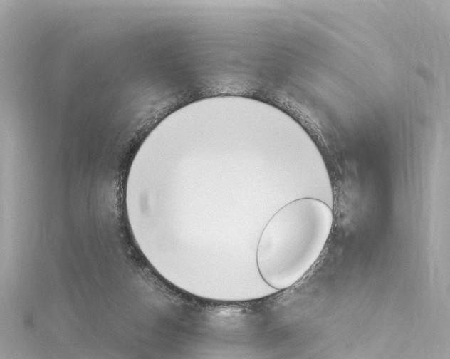 X0000116310162200911301043