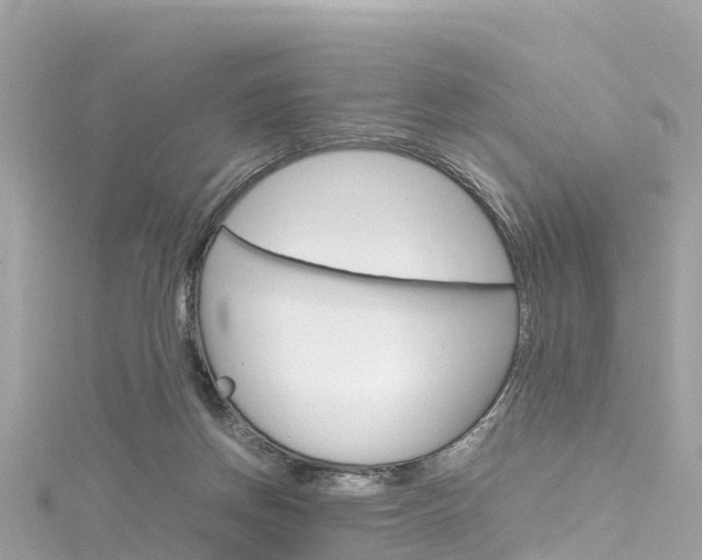 X0000116310166200911301043