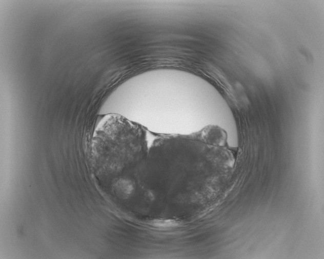 X0000116310169200911301043