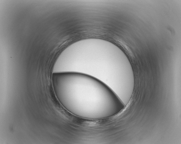 X0000116310170200911301043