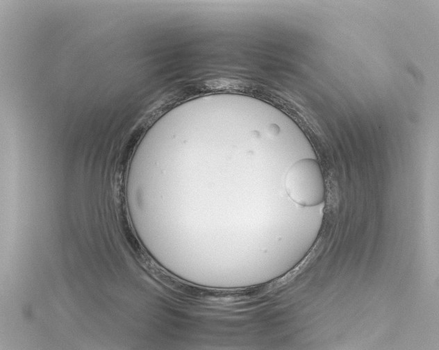 X0000116310171200911301043