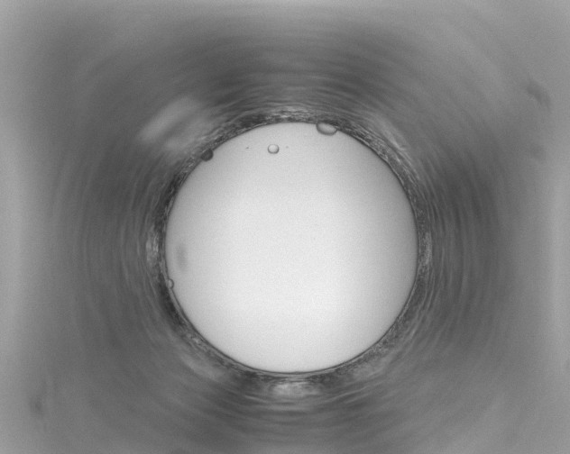 X0000116310173200911301043