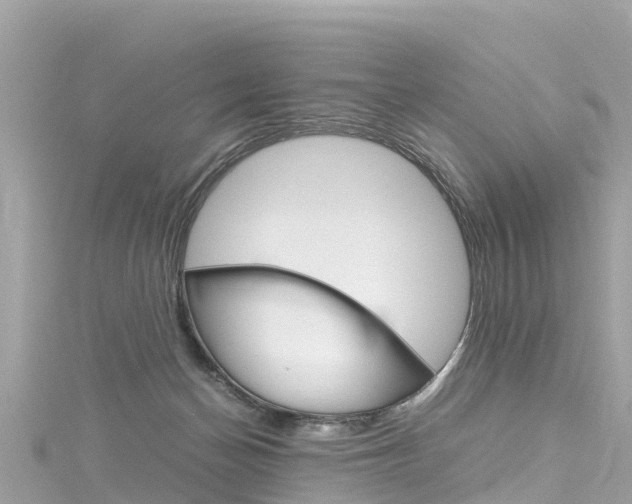 X0000116310174200911301043