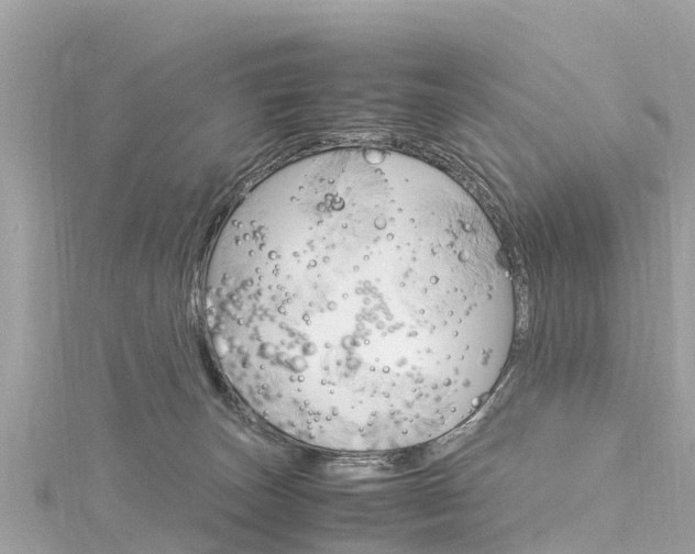 X0000116310179200911301043