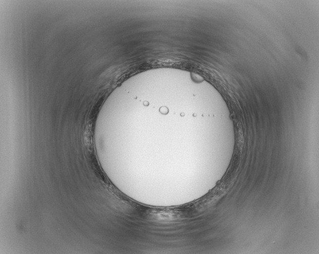 X0000116310181200911301043