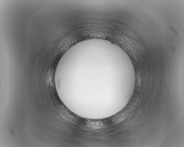 X0000116310185200911301043