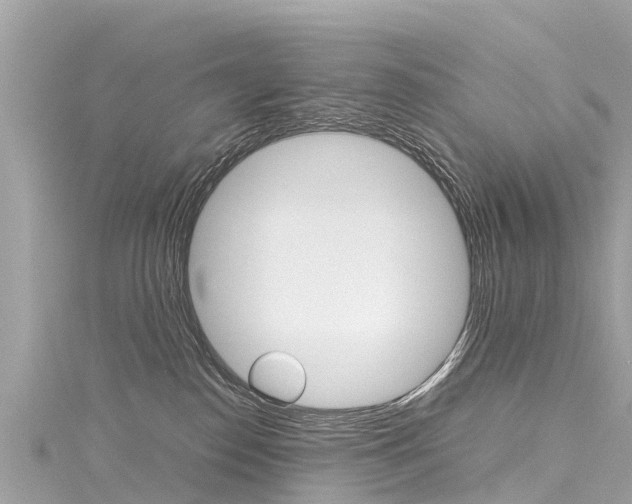 X0000116310186200911301043