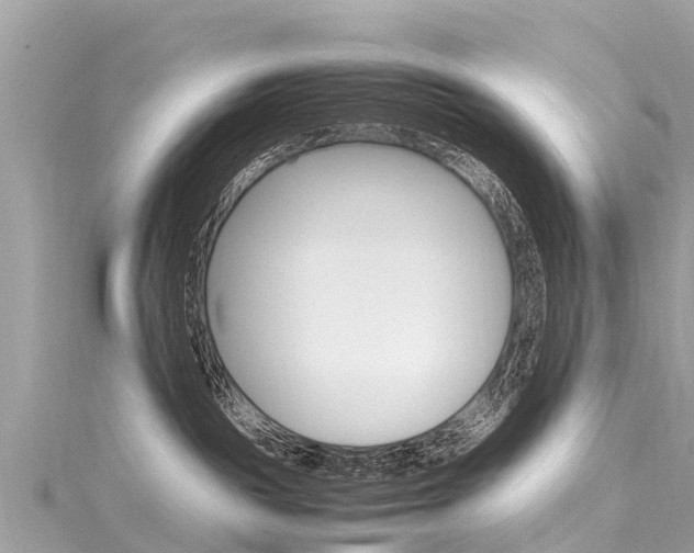 X0000116310189200911301043