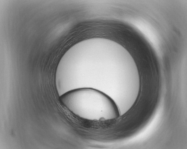 X0000116310190200911301043