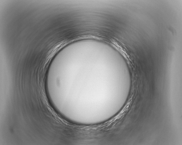 X0000116310193200911301043