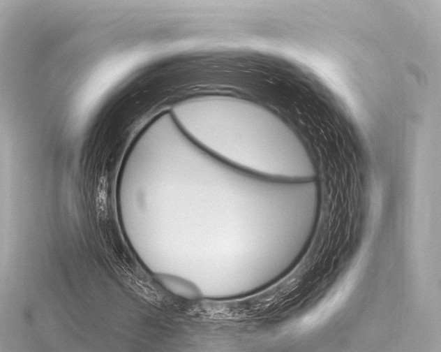 X0000116310194200911301043