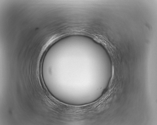 X0000116310195200911301043