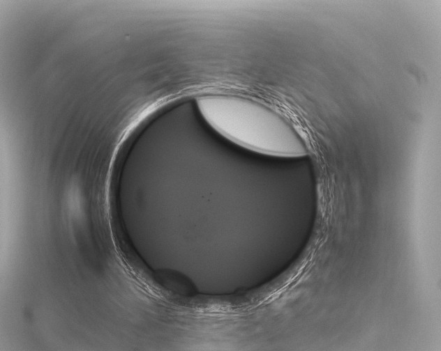 X0000116310196200911301043