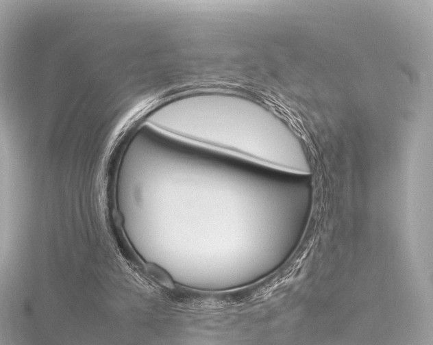 X0000116310197200911301043