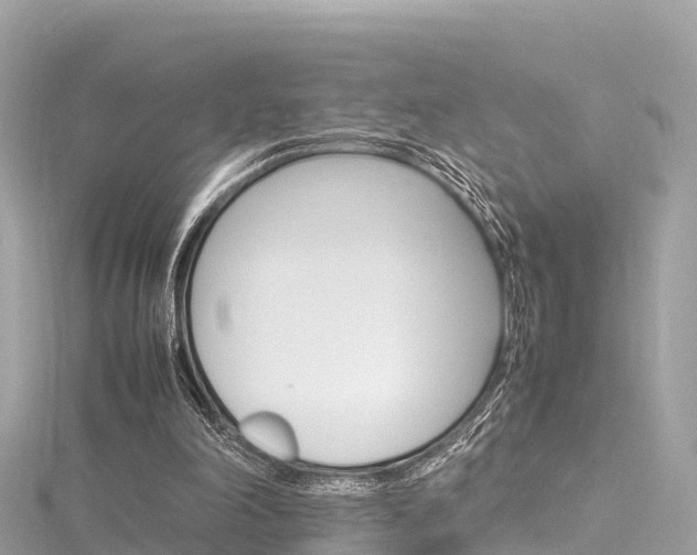 X0000116310198200911301043