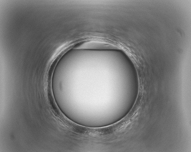 X0000116310199200911301043