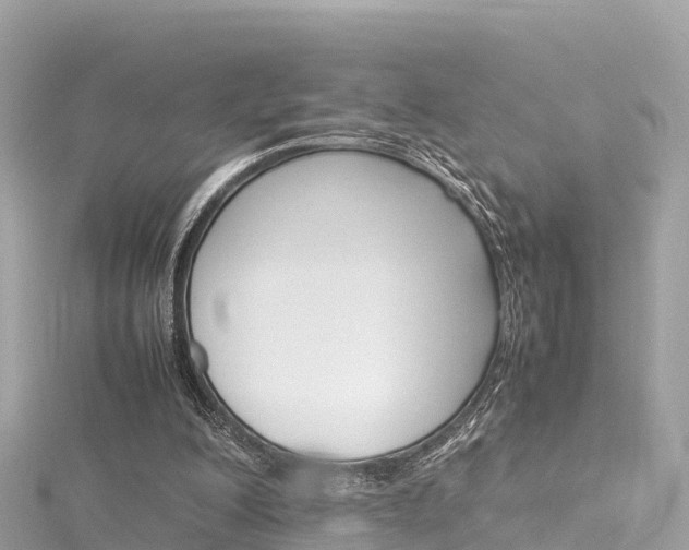 X0000116310200200911301043